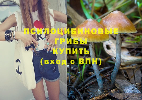 винт Богданович