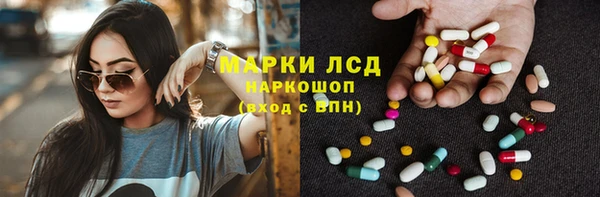 spice Беломорск